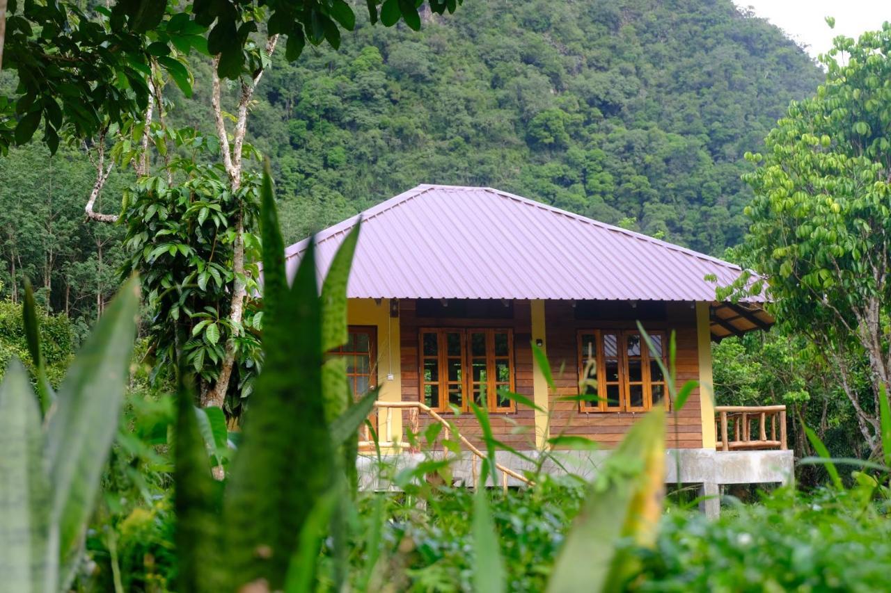 Monkey Mansion - Jungalows & Tours Khao Sok National Park Exterior photo